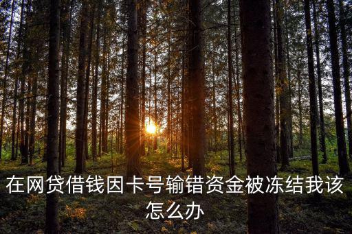 在網(wǎng)貸借錢因卡號輸錯資金被凍結(jié)我該怎么辦