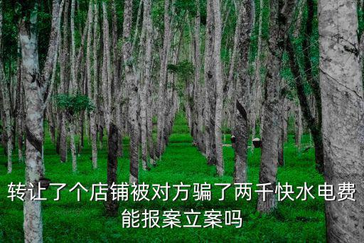 轉(zhuǎn)讓了個(gè)店鋪被對方騙了兩千快水電費(fèi)能報(bào)案立案嗎