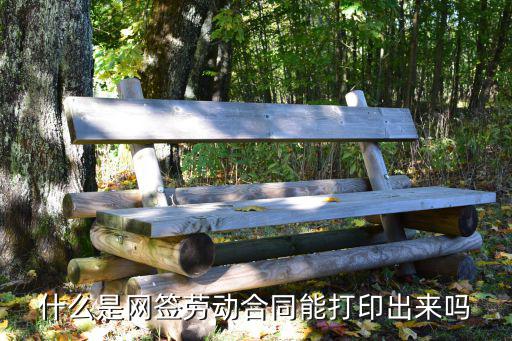 什么是網(wǎng)簽勞動合同能打印出來嗎