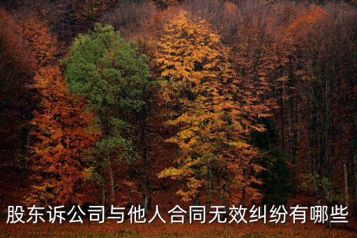 股東訴公司與他人合同無(wú)效糾紛有哪些