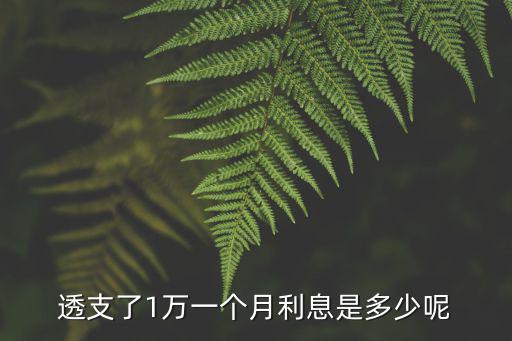 透支了1萬一個月利息是多少呢