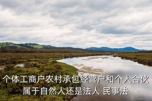 個(gè)體工商戶農(nóng)村承包經(jīng)營戶和個(gè)人合伙屬于自然人還是法人 民事法