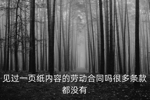 見過一頁紙內(nèi)容的勞動(dòng)合同嗎很多條款都沒有