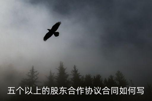 五個(gè)以上的股東合作協(xié)議合同如何寫