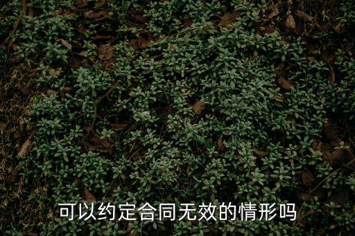 可以約定合同無效的情形嗎