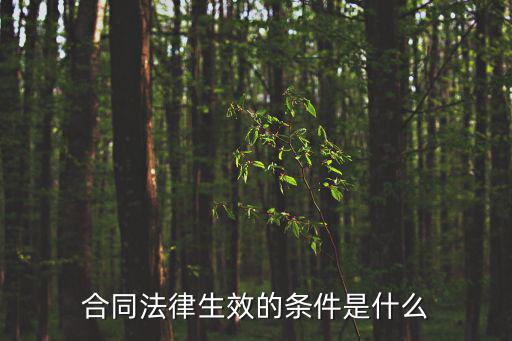 合同法律生效的條件是什么