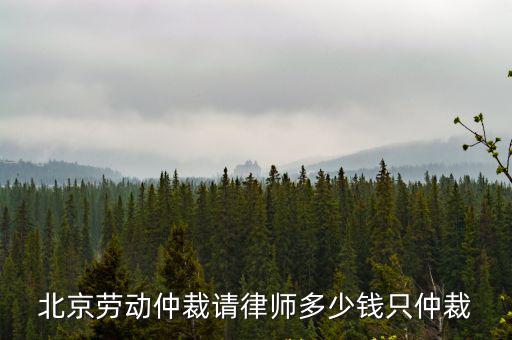 北京勞動(dòng)仲裁請(qǐng)律師多少錢只仲裁