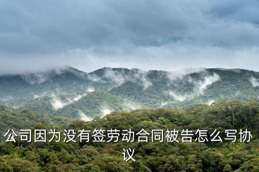 公司因為沒有簽勞動合同被告怎么寫協(xié)議