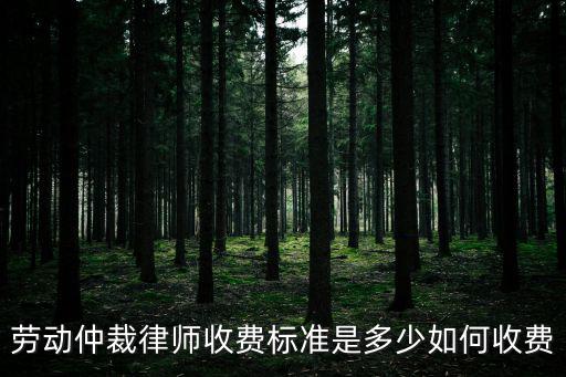勞動仲裁律師收費(fèi)標(biāo)準(zhǔn)是多少如何收費(fèi)