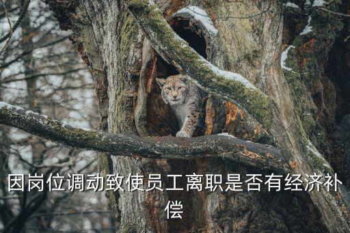 因崗位調動致使員工離職是否有經(jīng)濟補償