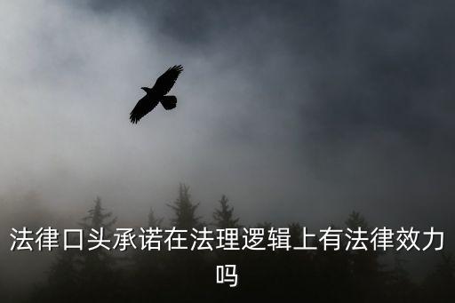 法律口頭承諾在法理邏輯上有法律效力嗎