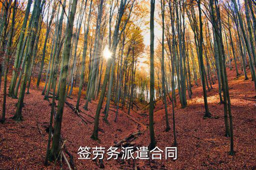 勞務(wù)中介合同范本，中介 勞動(dòng)合同