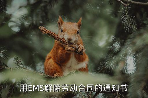 勞動合同解除書，書面解除勞動合同應該怎么寫有沒有什么格式要求