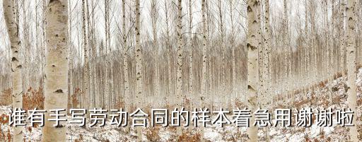誰有手寫勞動(dòng)合同的樣本著急用謝謝啦