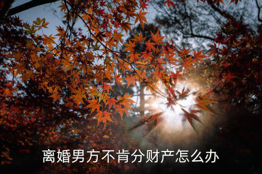 離婚男方不肯分財產(chǎn)怎么辦