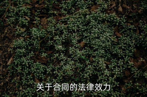 關(guān)于合同的法律效力
