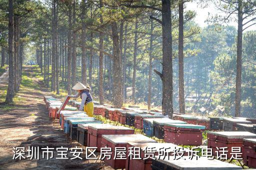 深圳市寶安區(qū)房屋租賃所投訴電話是