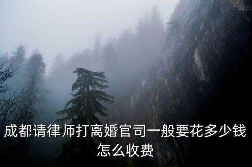 成都請律師打離婚官司一般要花多少錢怎么收費