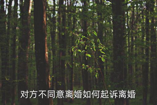 對(duì)方不同意離婚如何起訴離婚