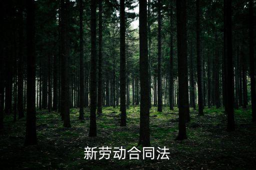 2022最新勞務(wù)合同法細(xì)則，新勞動(dòng)合同法
