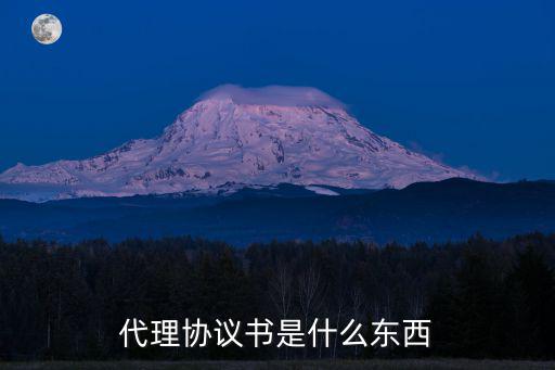 代理協(xié)議書是什么東西