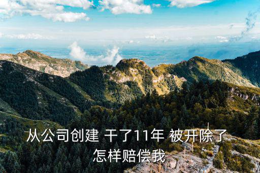 從公司創(chuàng)建 干了11年 被開除了 怎樣賠償我