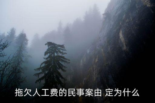 拖欠人工費(fèi)的民事案由 定為什么