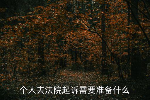 個人去法院起訴需要準(zhǔn)備什么