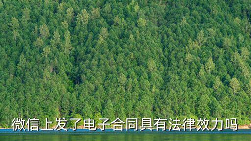 微信上發(fā)了電子合同具有法律效力嗎