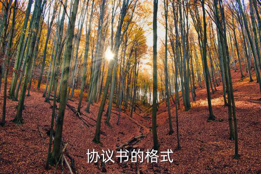 協(xié)議書的格式