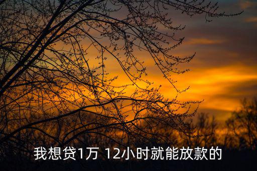 我想貸1萬 12小時(shí)就能放款的