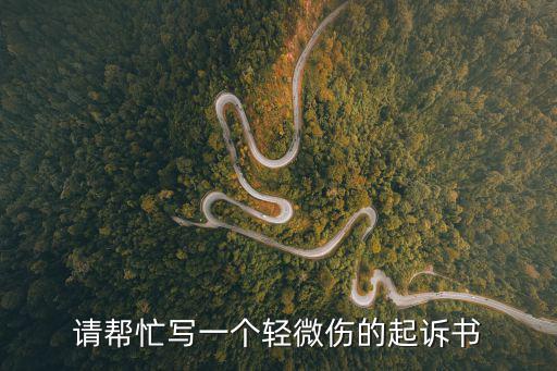 請(qǐng)幫忙寫(xiě)一個(gè)輕微傷的起訴書(shū)