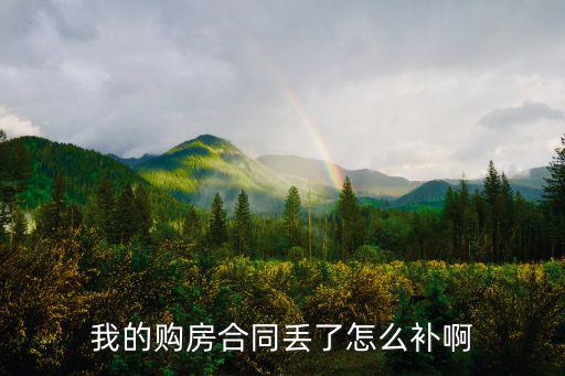我的購房合同丟了怎么補啊
