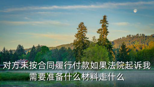 對方未按合同履行付款如果法院起訴我需要準(zhǔn)備什么材料走什么