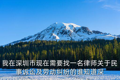 我在深圳市現(xiàn)在需要找一名律師關(guān)于民事訴訟及勞動(dòng)糾紛的誰知道深