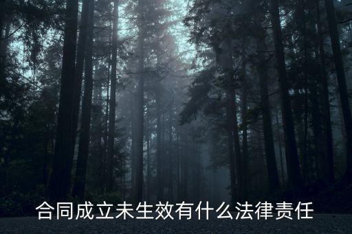 合同未生效的法律規(guī)定，合同無效在法律上是怎樣規(guī)定的