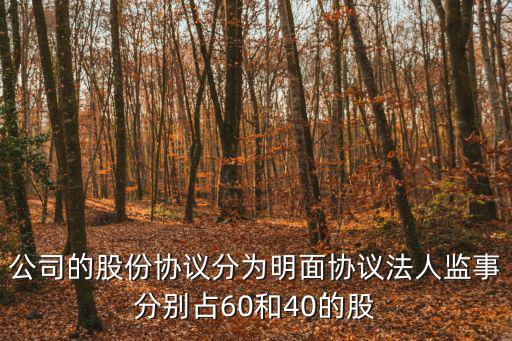 公司的股份協(xié)議分為明面協(xié)議法人監(jiān)事分別占60和40的股