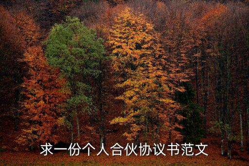 合伙做生意合同協(xié)議書，求一份個人合伙協(xié)議書范文
