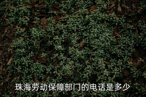 珠海勞動保障部門的電話是多少