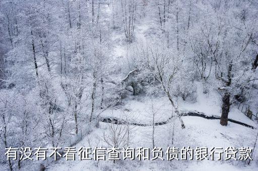 有沒有不看征信查詢和負(fù)債的銀行貸款