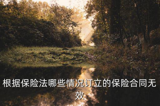 根據(jù)保險法哪些情況訂立的保險合同無效