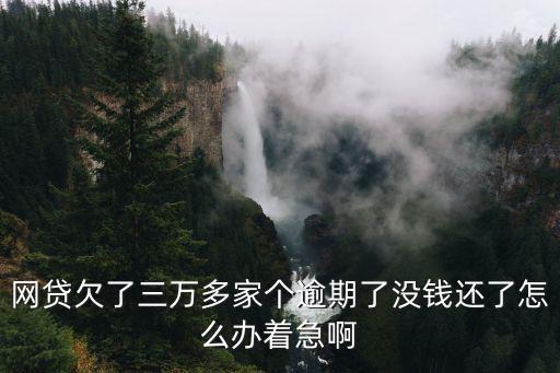 網(wǎng)貸欠了三萬多家個(gè)逾期了沒錢還了怎么辦著急啊