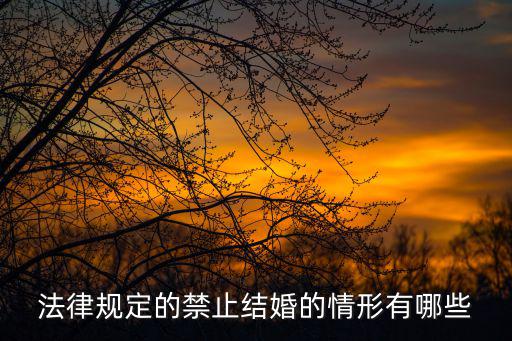 民法典婚姻無效有哪些，哪些情況可以導(dǎo)致婚姻沒有法律效力