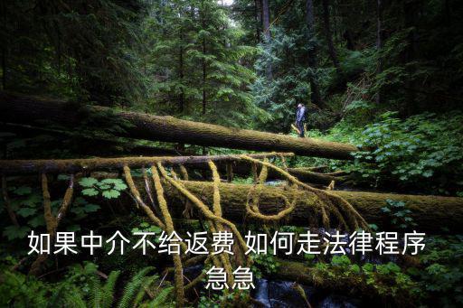 中介拖欠返費(fèi)不給怎么辦，如果中介不給返費(fèi) 如何走法律程序 急急