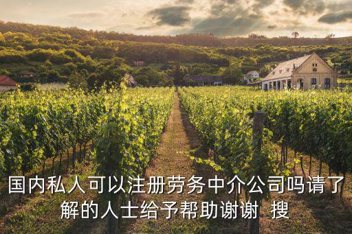 國(guó)內(nèi)私人可以注冊(cè)勞務(wù)中介公司嗎請(qǐng)了解的人士給予幫助謝謝  搜