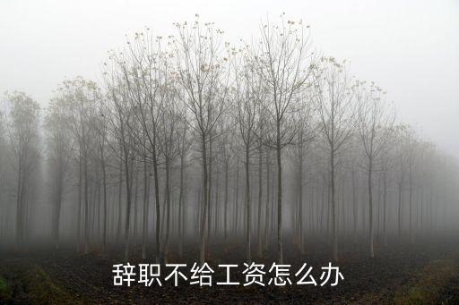 辭職不給工資怎么辦