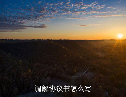 調(diào)解協(xié)議書怎么寫