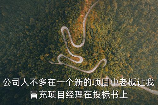 工程簽字人騙局有哪些，公司人不多在一個(gè)新的項(xiàng)目中老板讓我冒充項(xiàng)目經(jīng)理在投標(biāo)書上