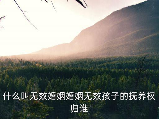 什么叫無效婚姻婚姻無效孩子的撫養(yǎng)權(quán)歸誰(shuí)