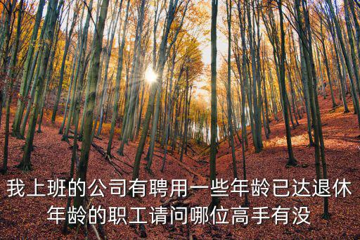 聘用退休人員勞務(wù)合同范本，我上班的公司有聘用一些年齡已達(dá)退休年齡的職工請(qǐng)問哪位高手有沒